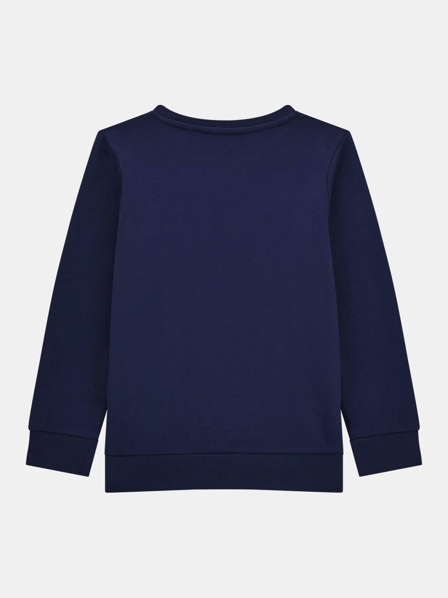 GUESS ACTIVE BEAR EMBROIDERY FOOTER