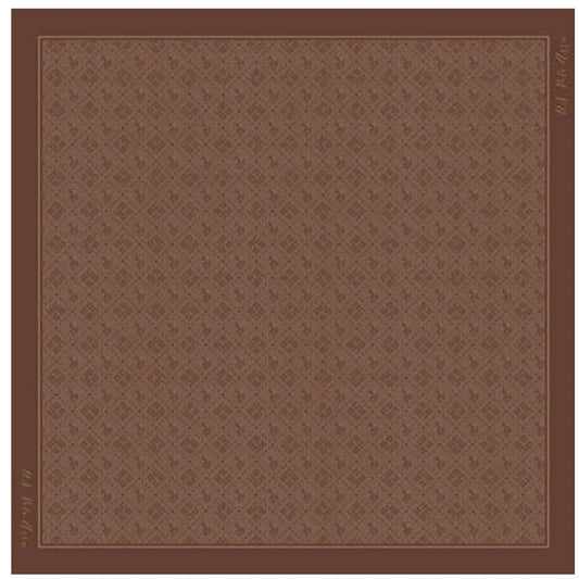 U.S POLO ASSN WOMAN FOULARD