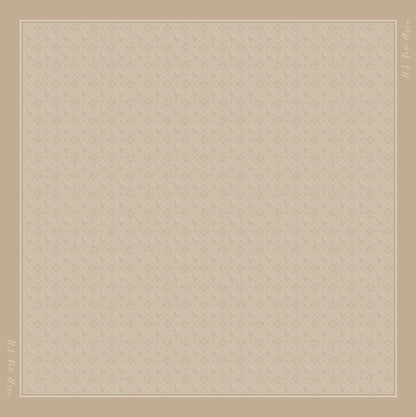 U.S POLO ASSN WOMAN FOULARD