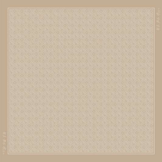 U.S POLO ASSN WOMAN FOULARD