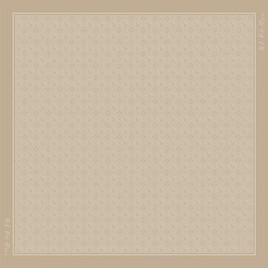 U.S POLO ASSN WOMAN FOULARD