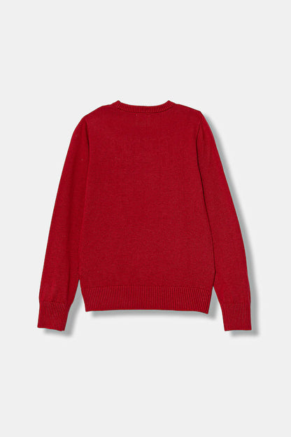 GUESS KIDS LS KNITTED SWEATER