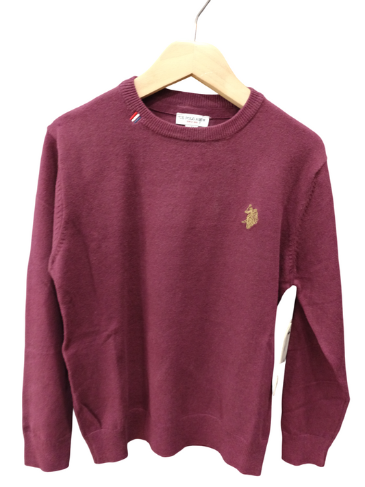 U.S POLO KIDS LOGO PULLOVER