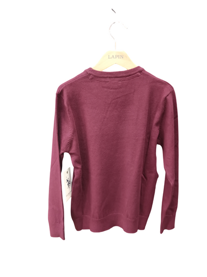 U.S POLO KIDS LOGO PULLOVER