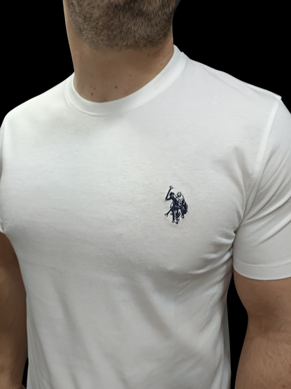 U.S POLO ASSN MAN SILVER & GOLD BASIC T SHIRT