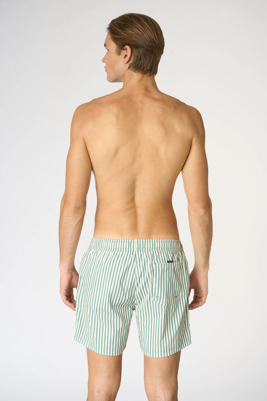 U.S POLO ASSN MAN STRIPED SWIMSHORT