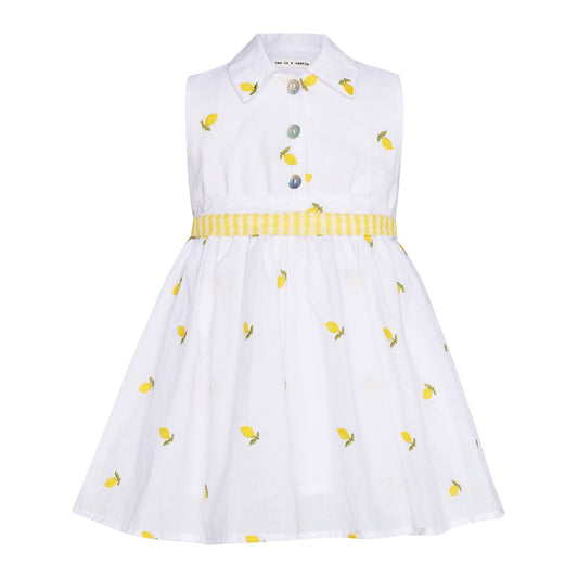 TC SUMMER FRUIT EMBROIDERED SHIRT DRESS