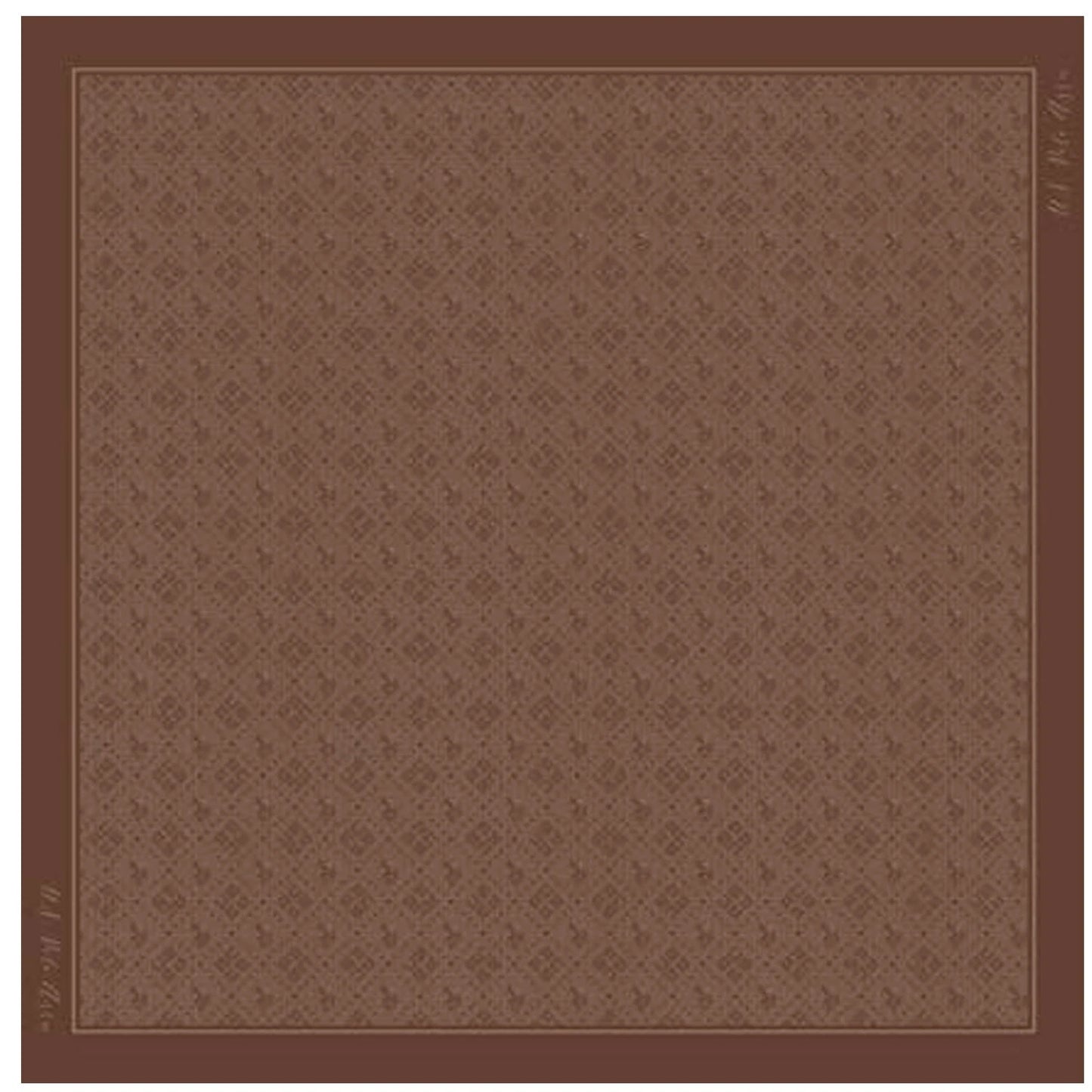 U.S POLO ASSN WOMAN FOULARD