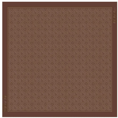 U.S POLO ASSN WOMAN FOULARD